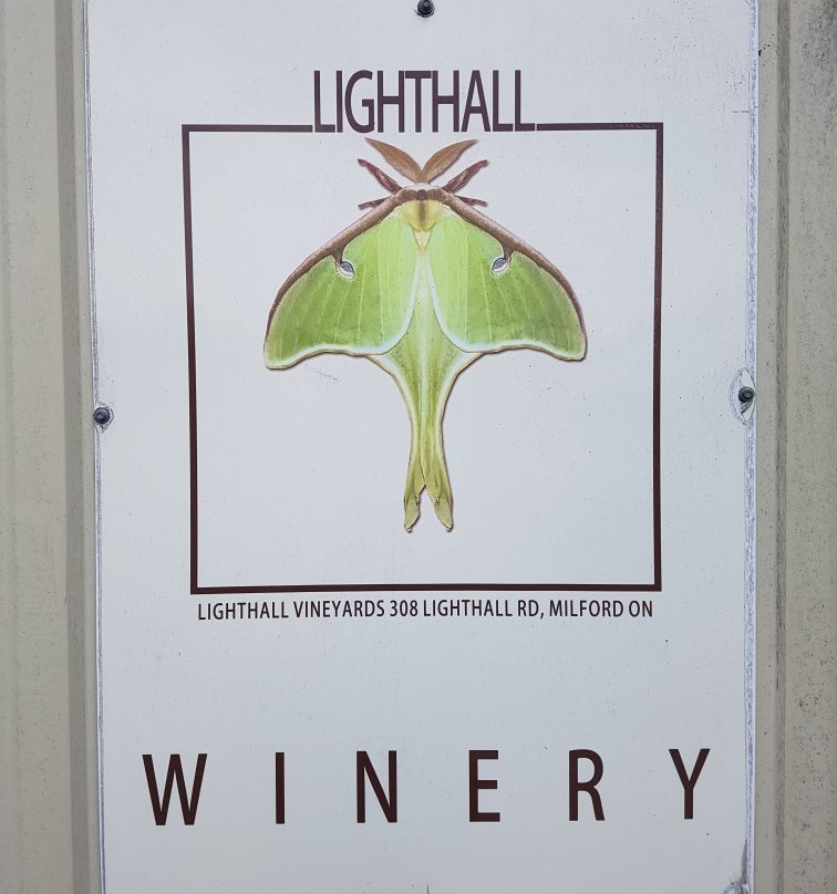 Lighthall Vineyards景点图片