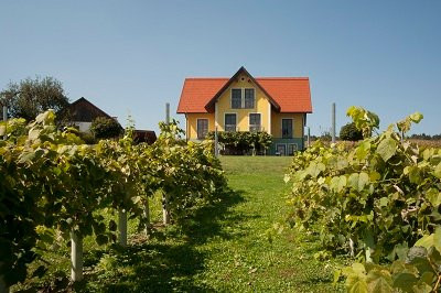 Winzerhof Gästezimmer Grebenz主图