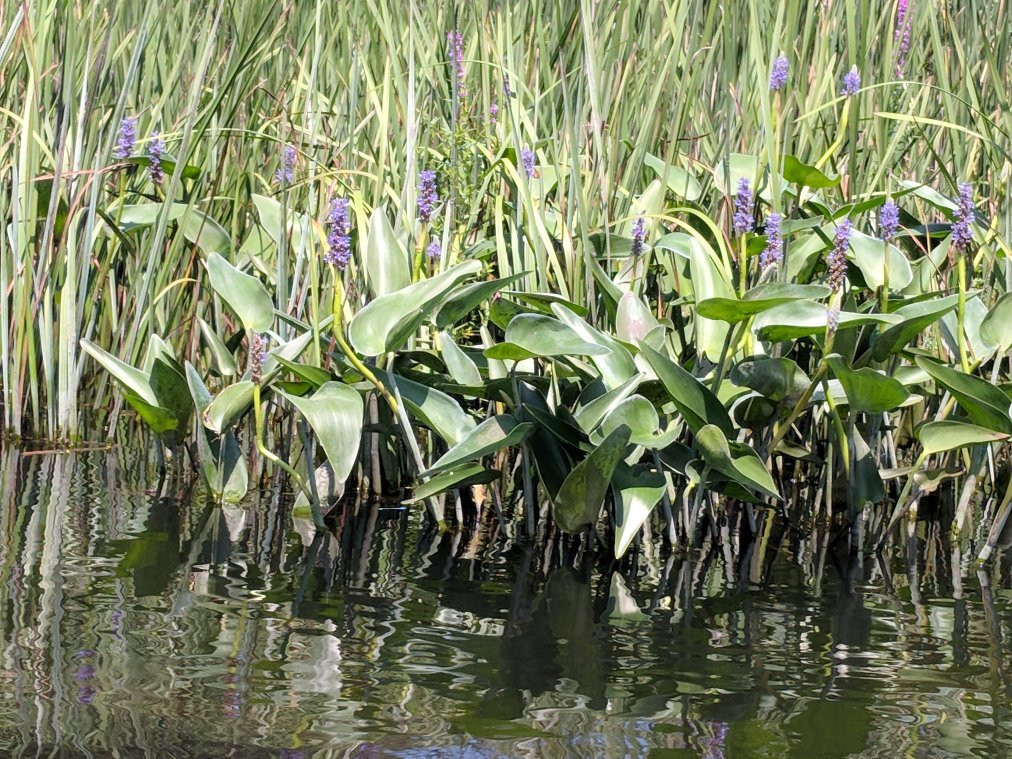 Pentwater Outfitters-Pentwater必去景点