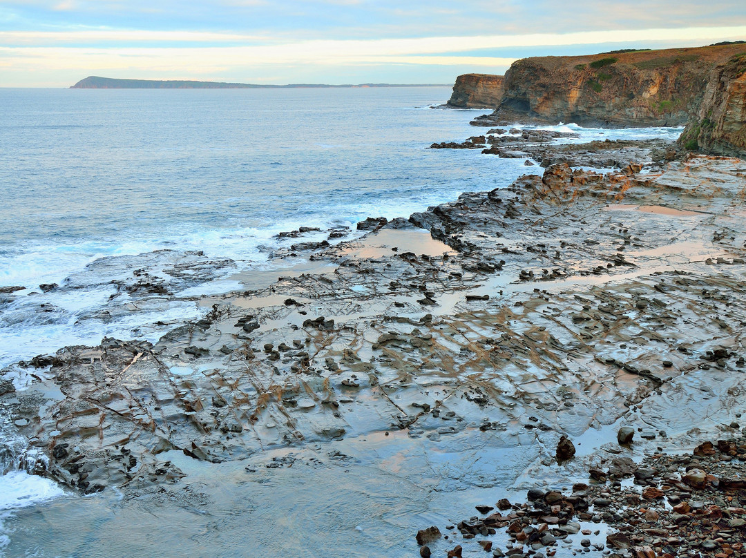 Shelly Beach-Kilcunda必去景点