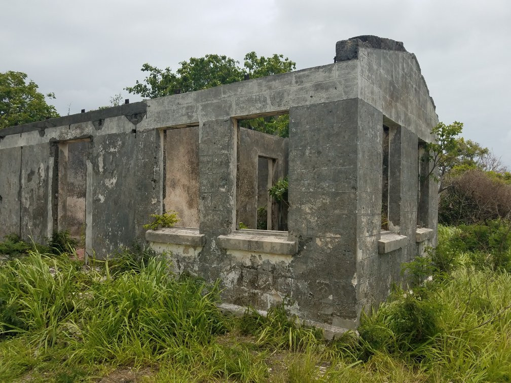 Harrisons旅游攻略图片