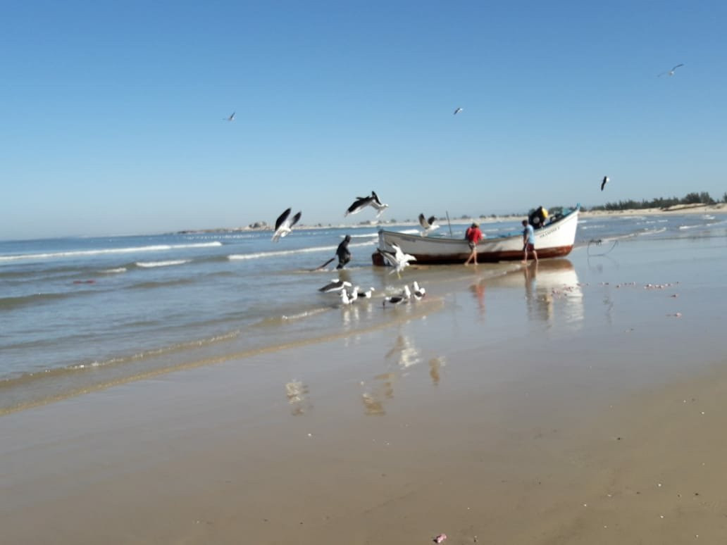 Cardoso Beach-Laguna必去景点