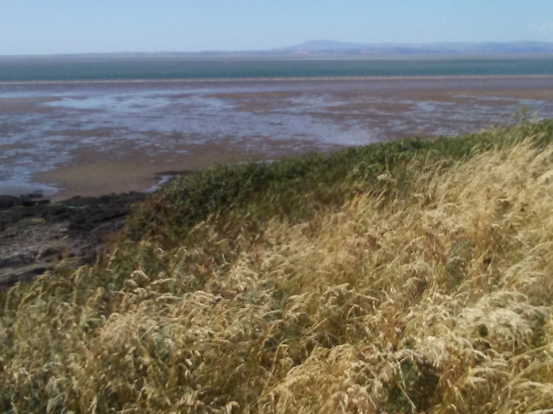 Heysham Nature Reserve景点图片