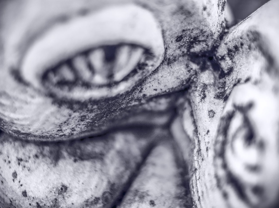 Cymon Taylor Photographer-圣奎里科多尔恰必去景点