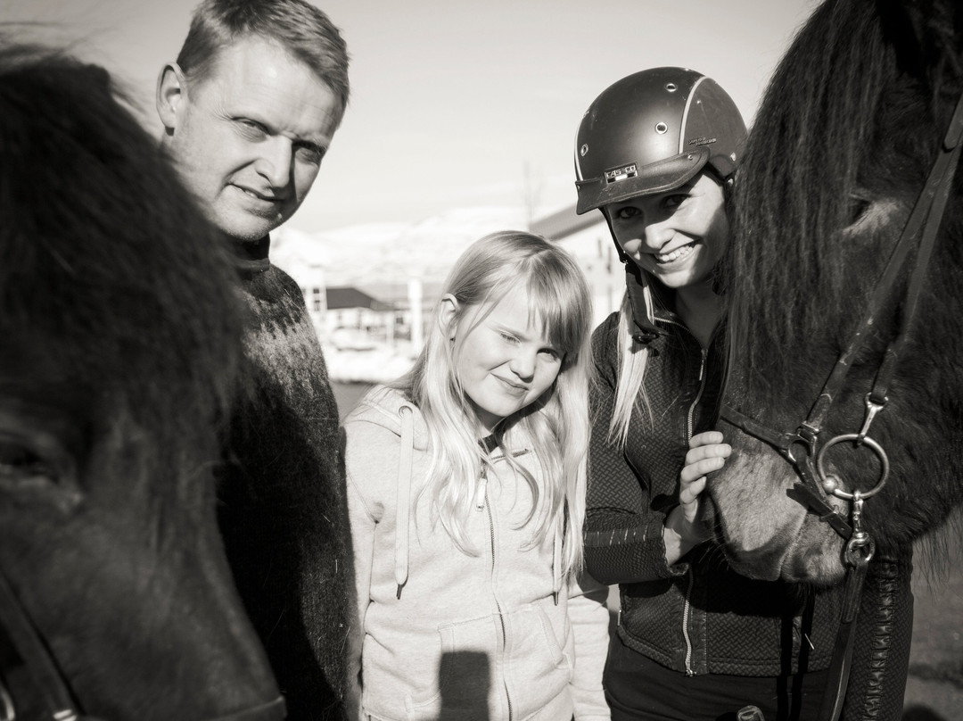 Skjaldarvik Tours-阿克雷里必去景点