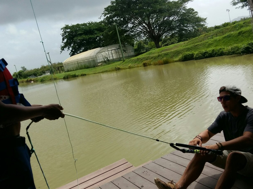 Martinique Wake Park-Trois-Ilets必去景点