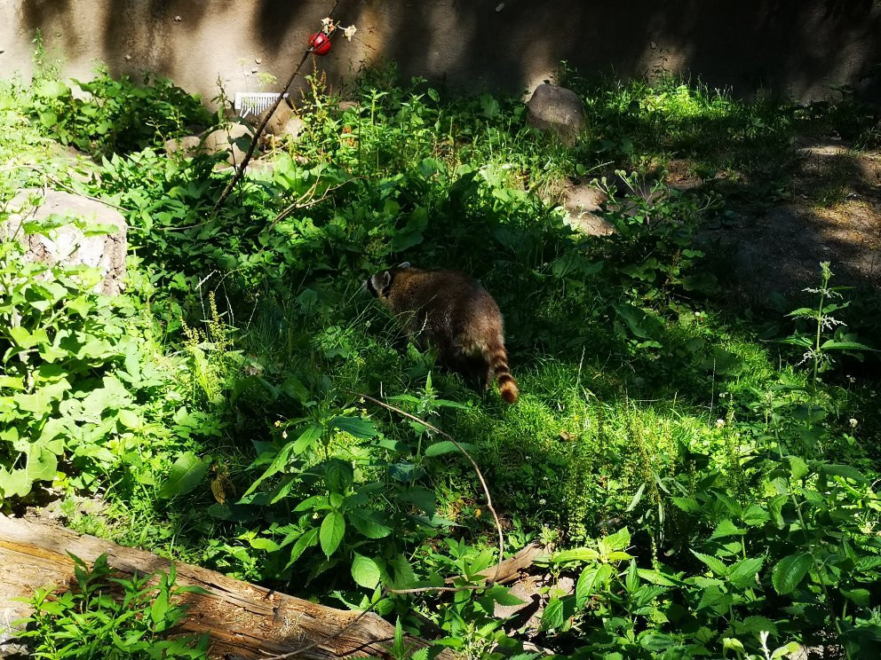 AQUA Aquarium & Wildlife Park景点图片