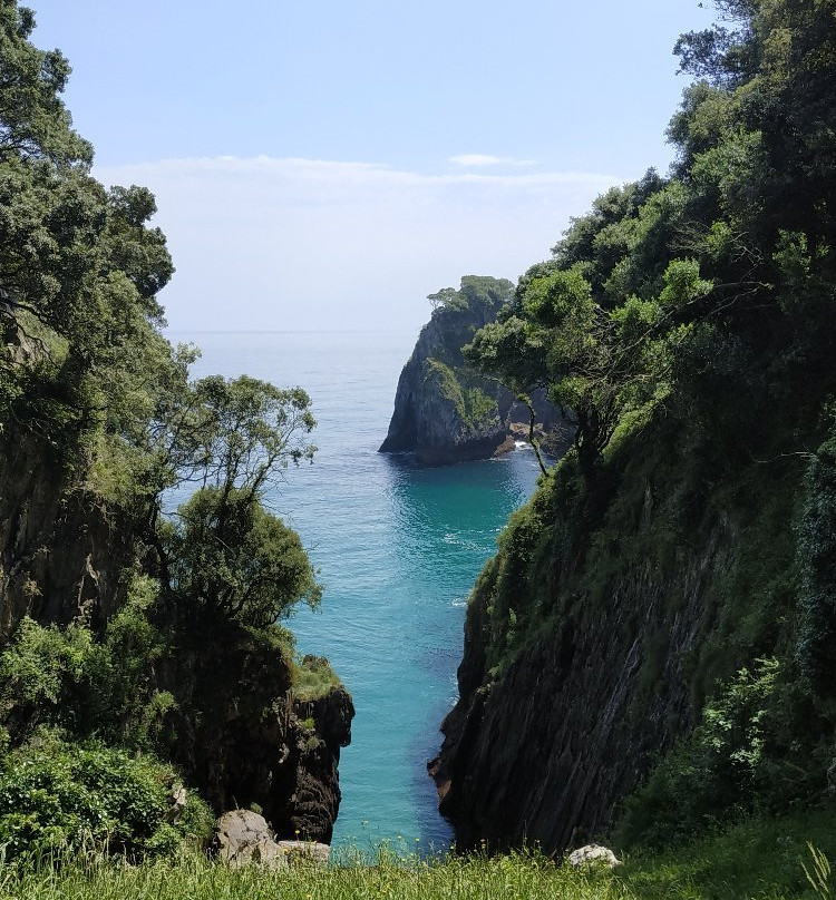 Cueva de El Pindal景点图片