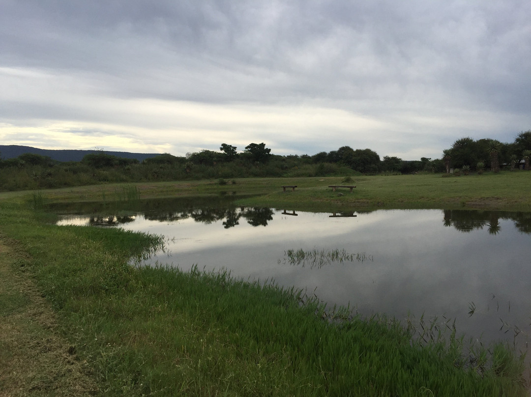 The Owl and Elephant Lodge主图