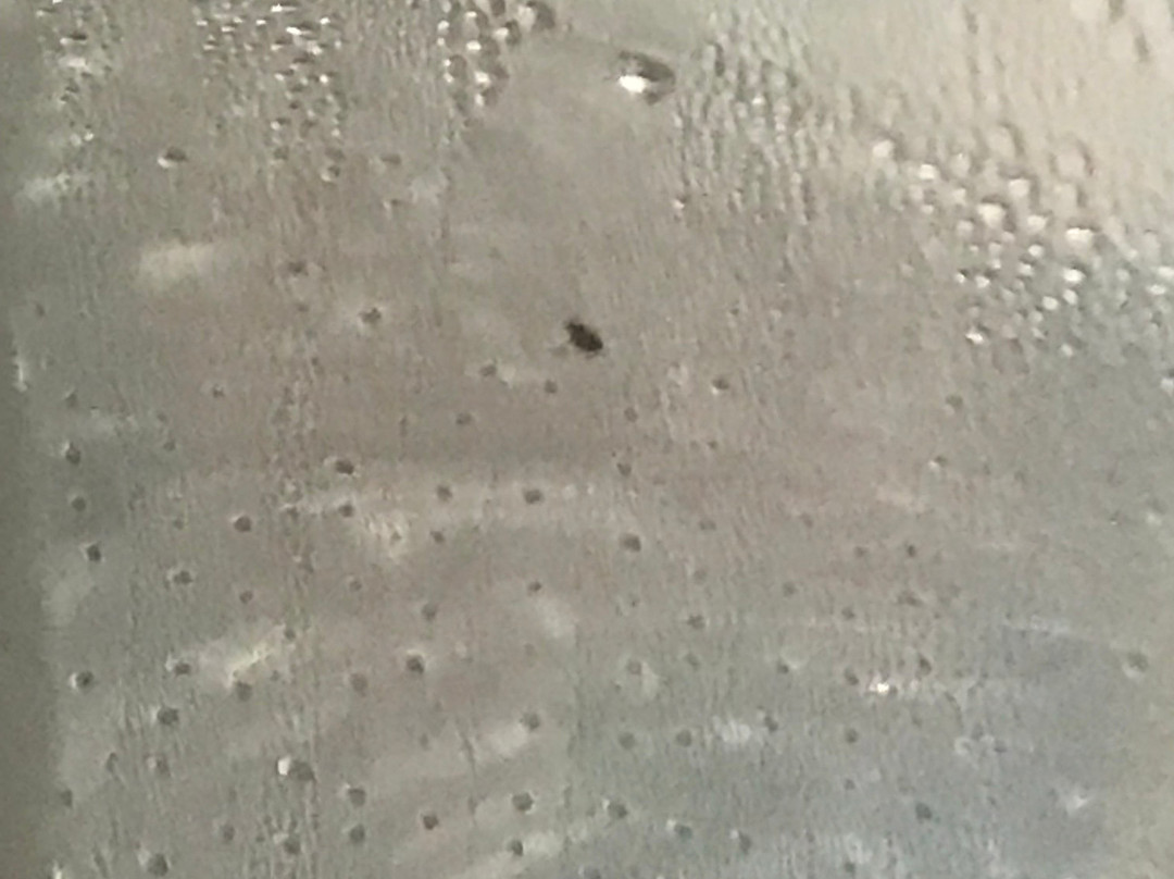 Quality Inn Richmond By Choice Hotels主图