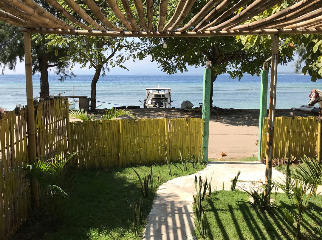 Yellow by The Sea主图