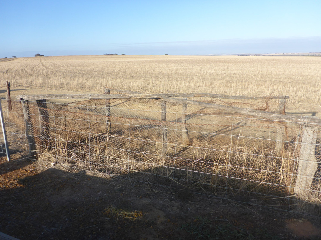 No. 1 Rabbit Proof Fence景点图片