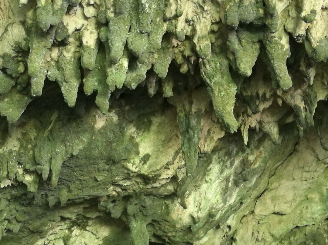 Grotta del Colle景点图片