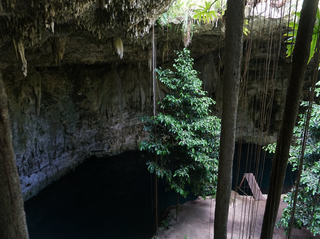Cenote SAC-AUA景点图片