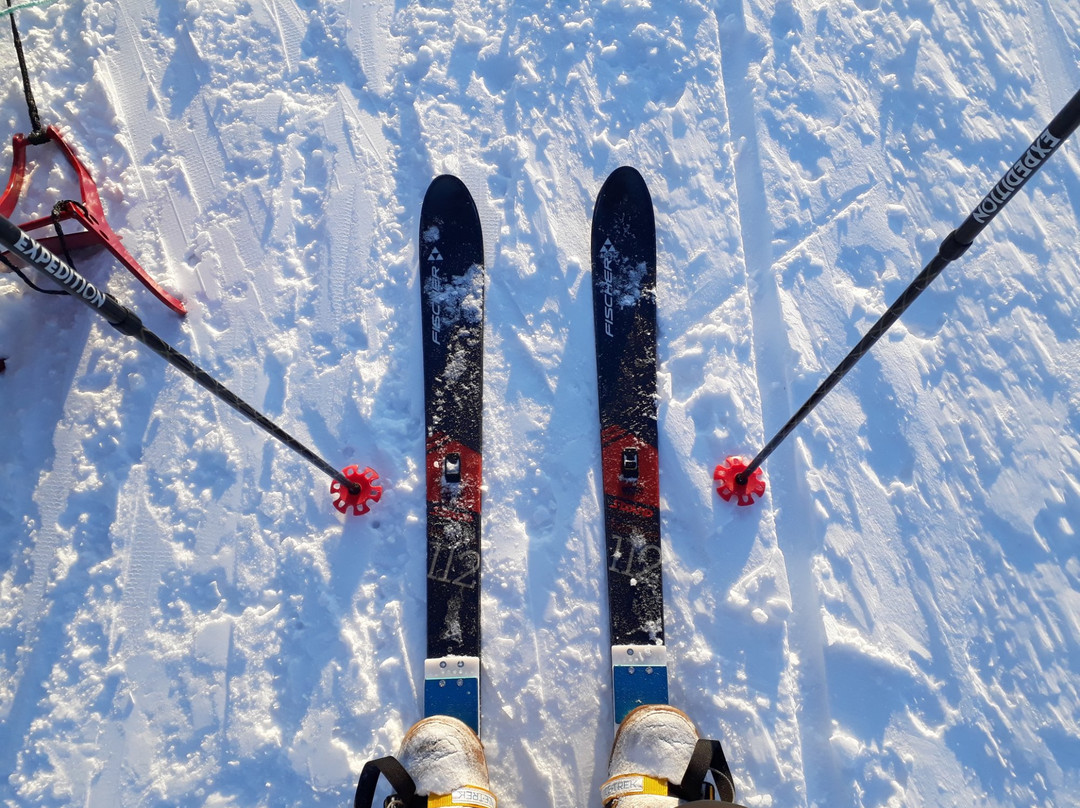 Polardogs Svalbard-朗伊尔城必去景点