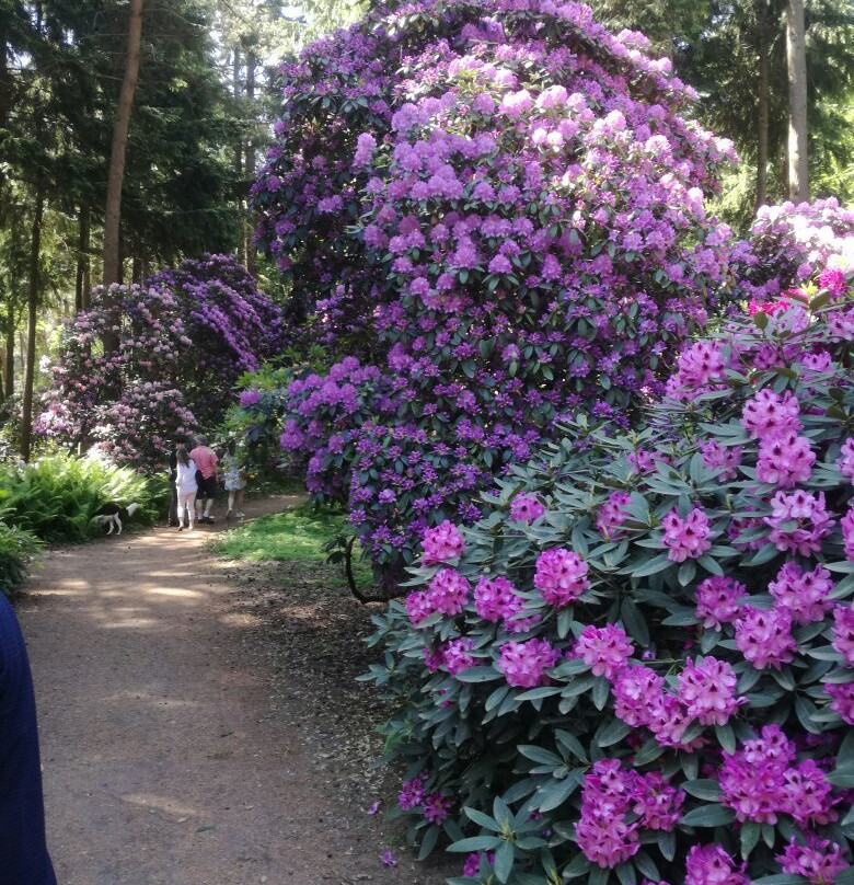 Rhododendronpark Bruns景点图片