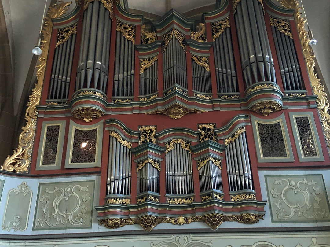 Schlosskirche Meisenheim景点图片