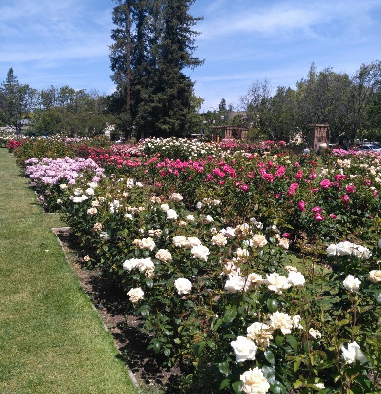 Heritage Rose Garden景点图片