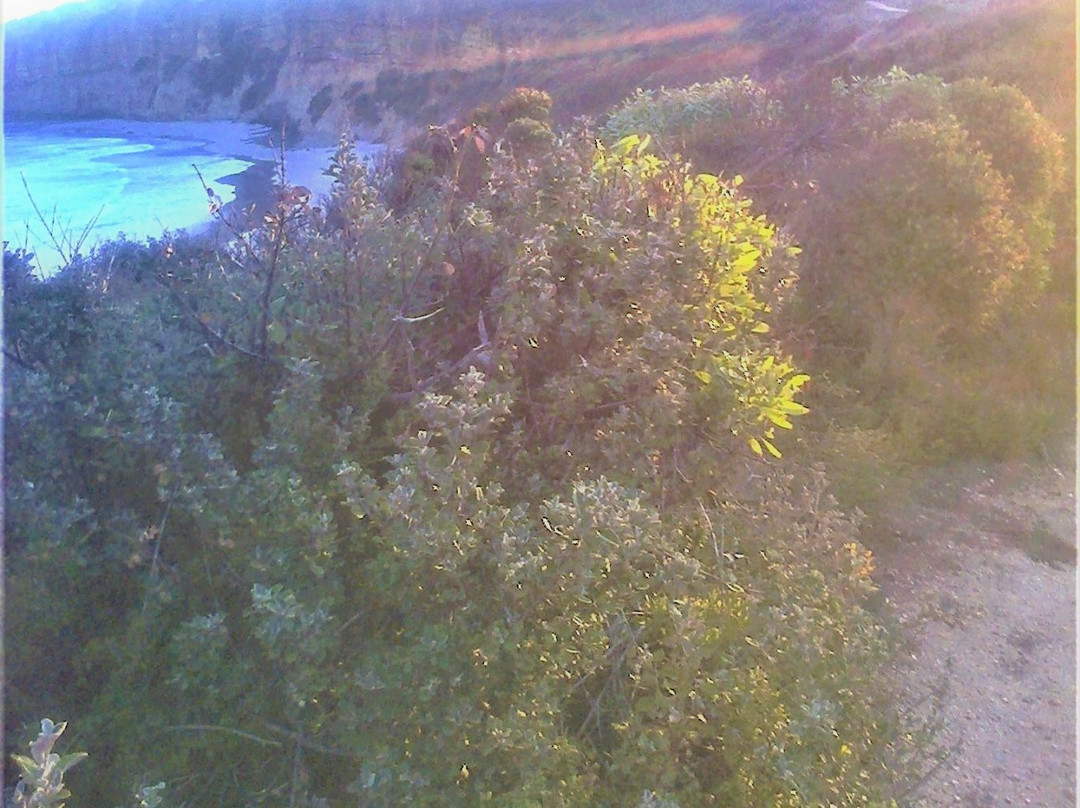 Reef Lookout-Aireys Inlet必去景点