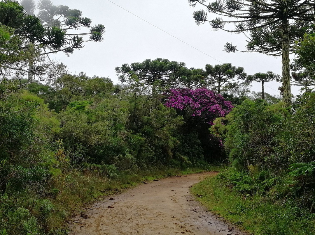 Francys Tur-格拉玛多必去景点
