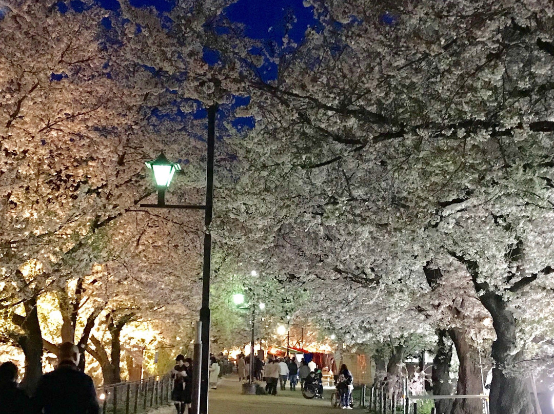 Garyu Park-须坂市必去景点