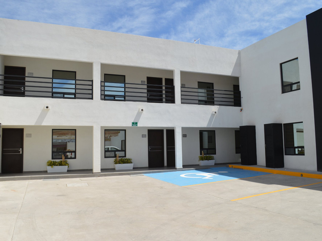 Hotel Plaza Catedral主图