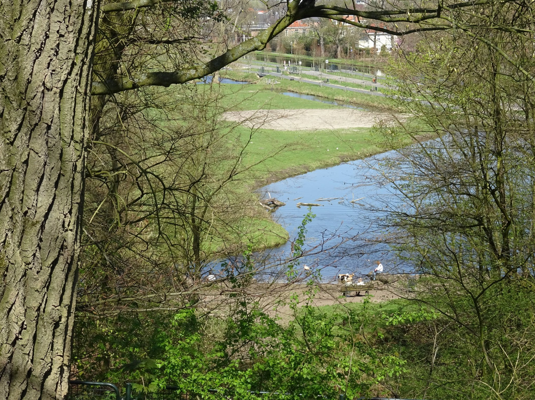 Wandelbos Groenendaal景点图片