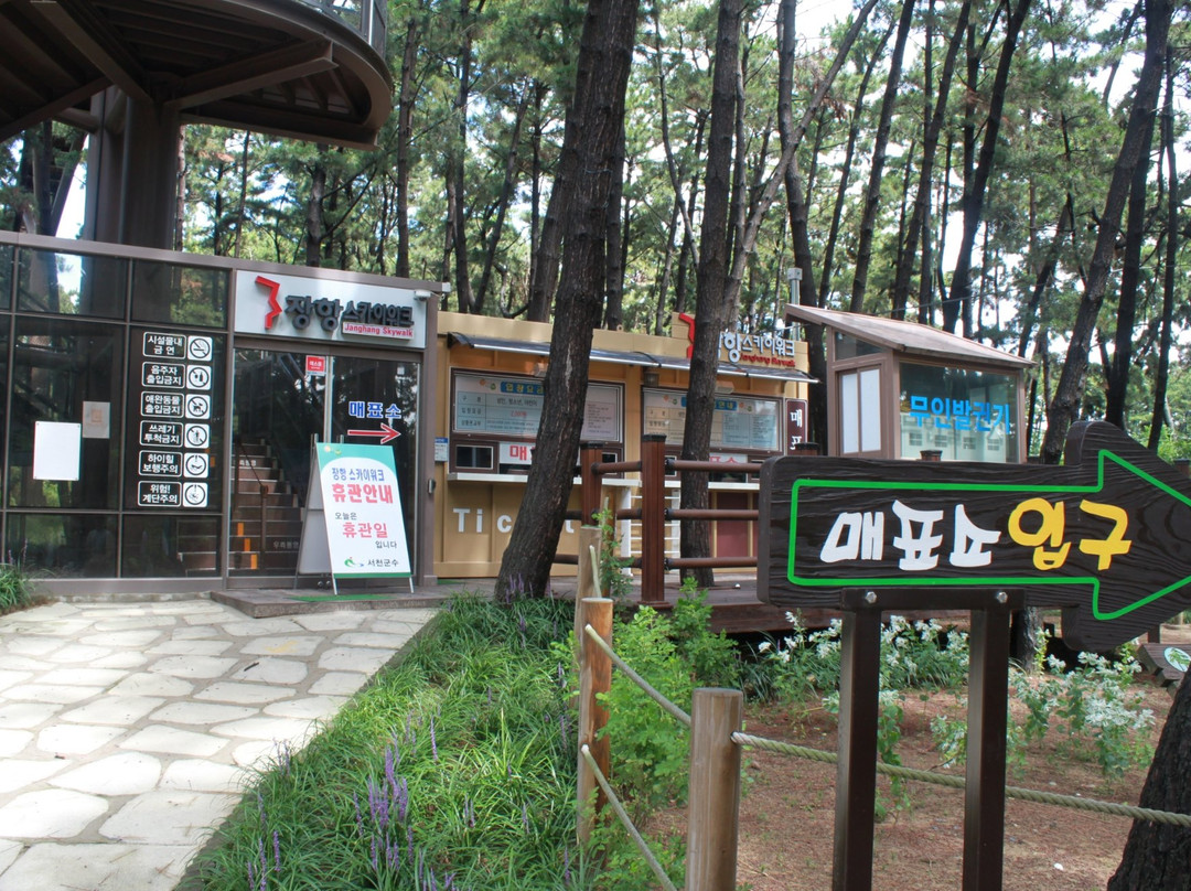Janghang Skywalk-舒川郡必去景点