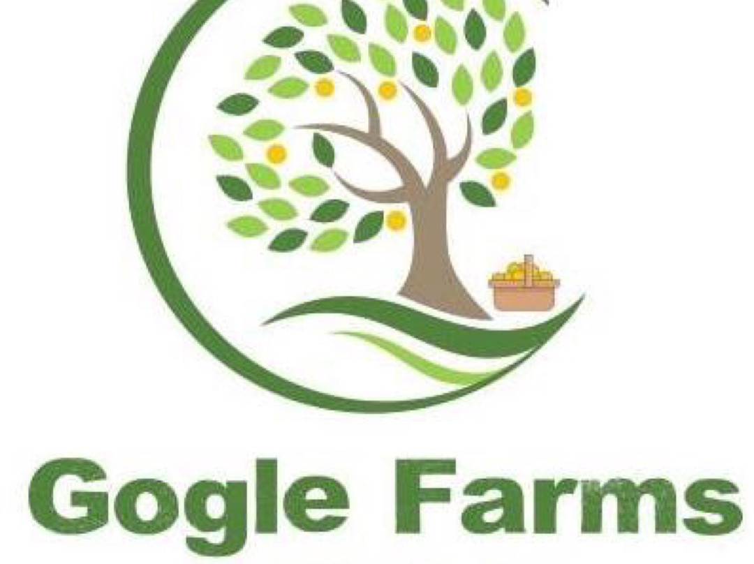 Gogle Farms景点图片