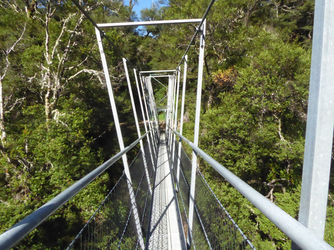Waiohine Gorge Suspension Bridge景点图片