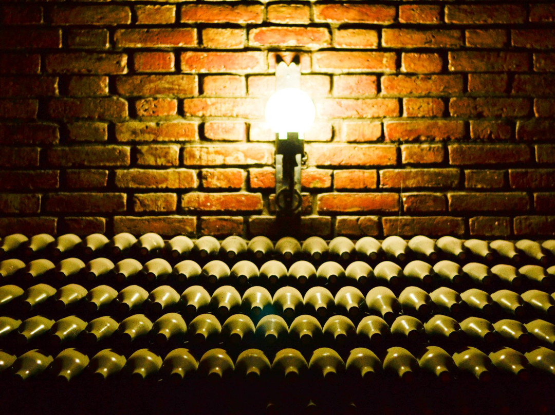 Bodega y Viñedos Garbin-圣拉斐尔必去景点