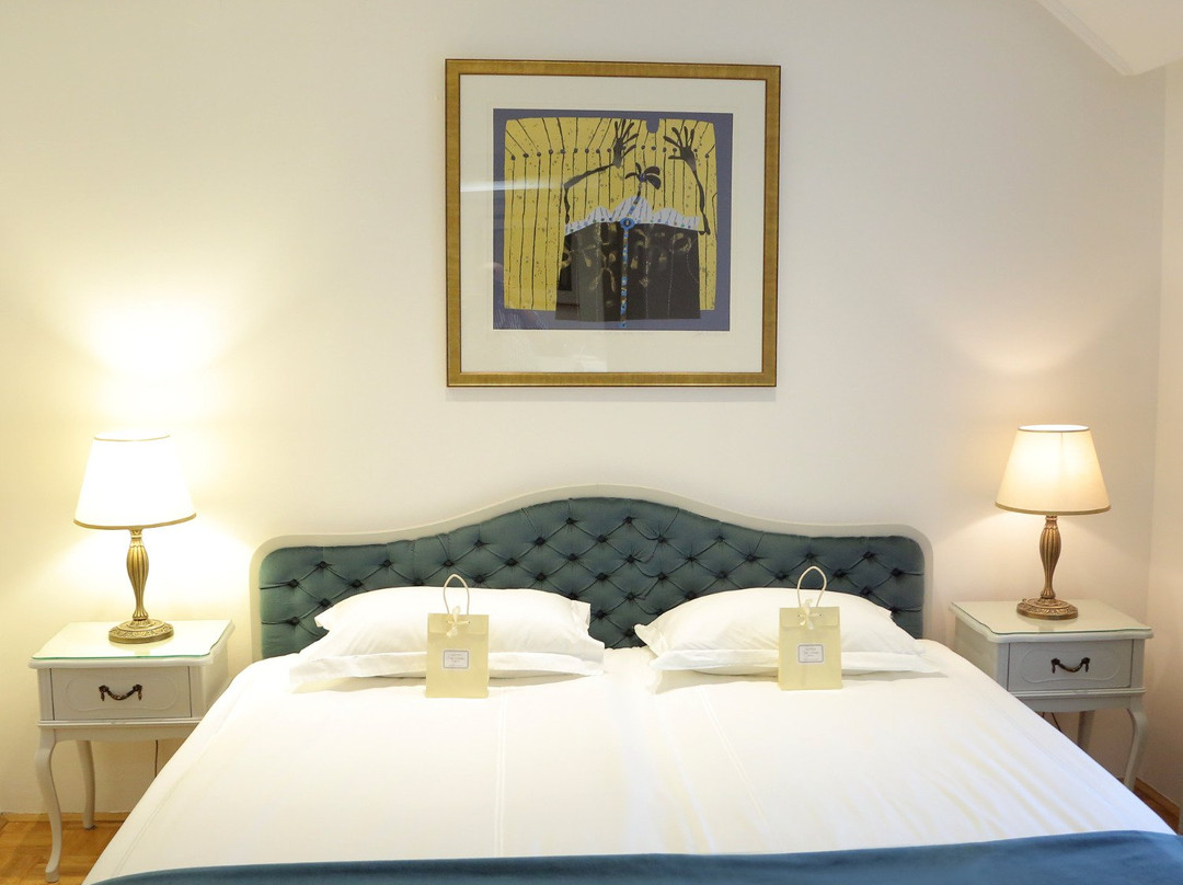 Aparthotel Vila Minka主图