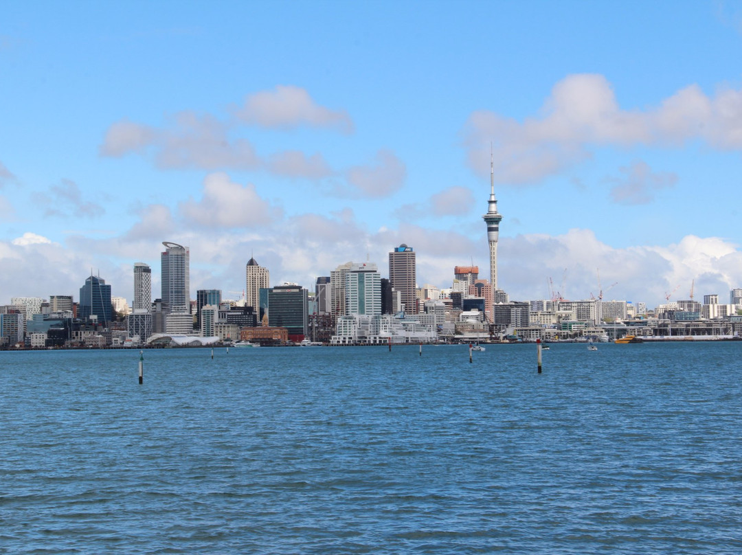 Cyril Bassett Lookout CV-德文波特必去景点