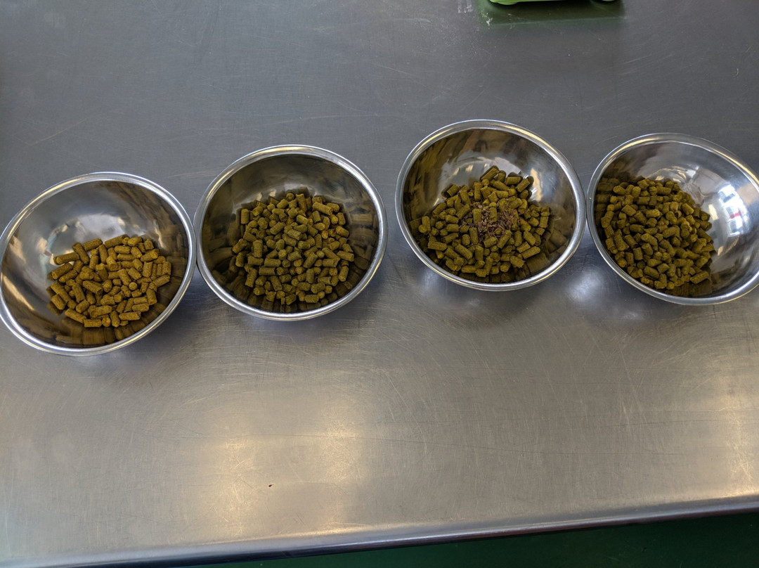 IncrediBREW景点图片