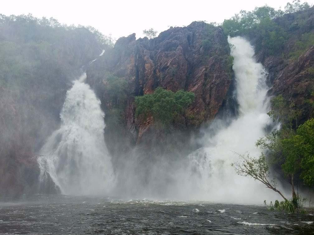 Territory Experiences One Day Tours-达尔文市必去景点