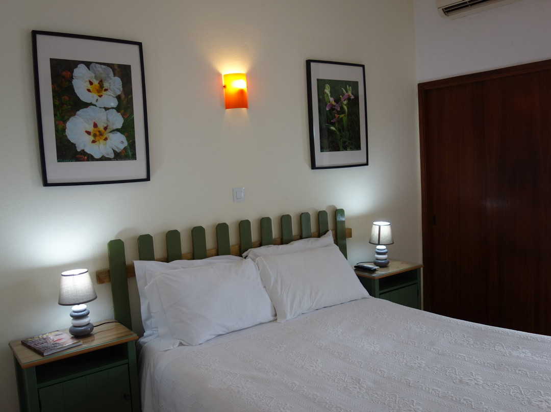 Guest House Oliveira主图