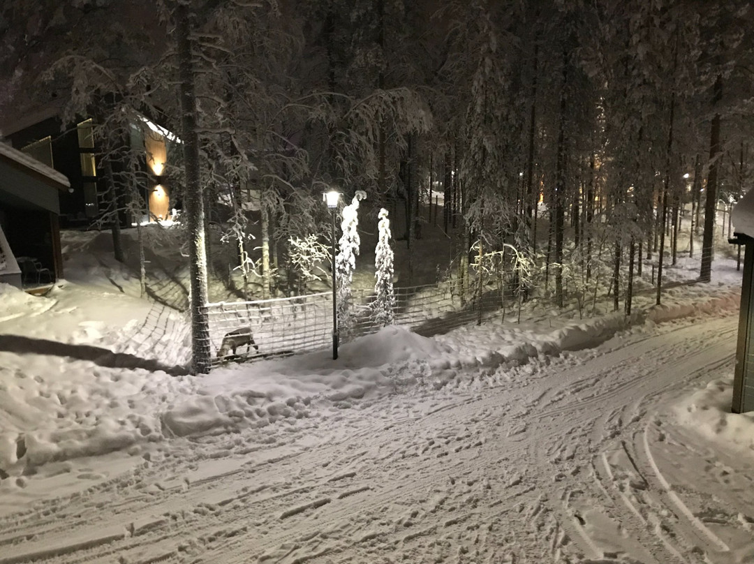 Nova Skyland Hotel主图