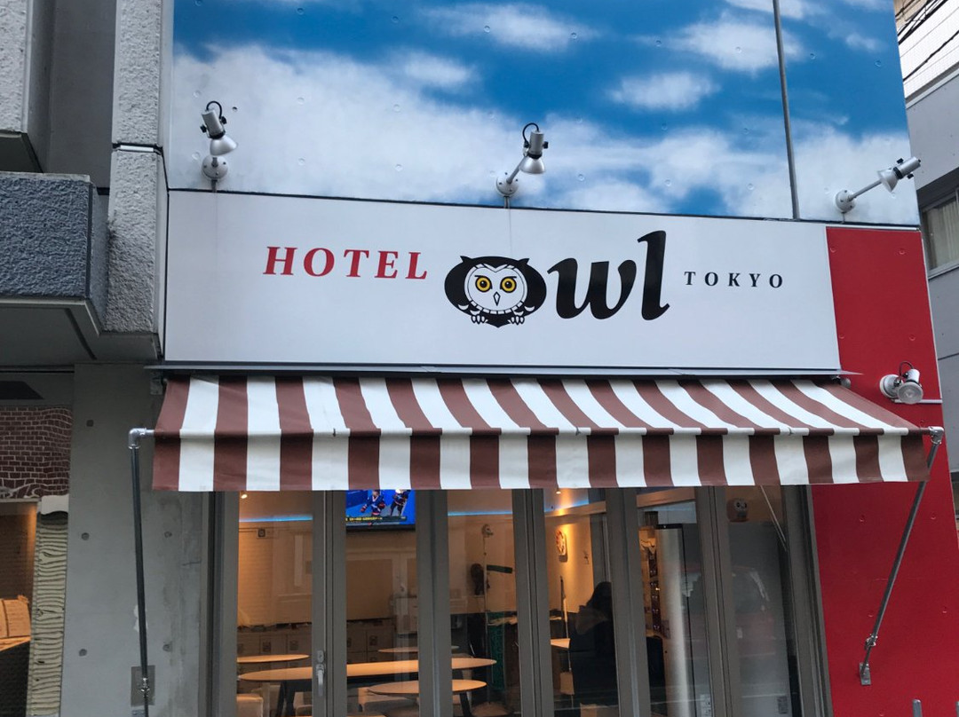 猫头鹰酒店