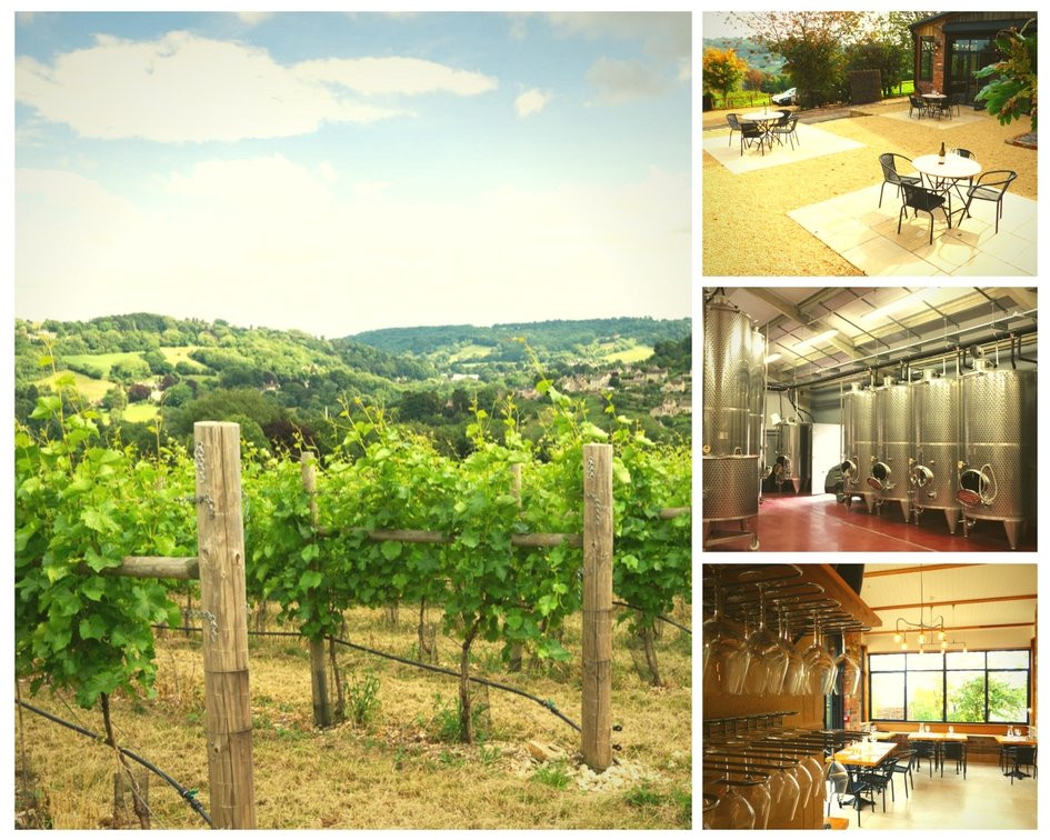 Woodchester Valley Vineyard-斯特劳德必去景点