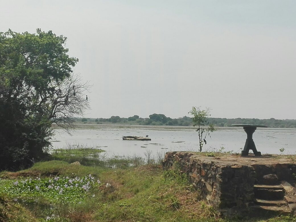 Hotel Grand Halabana主图