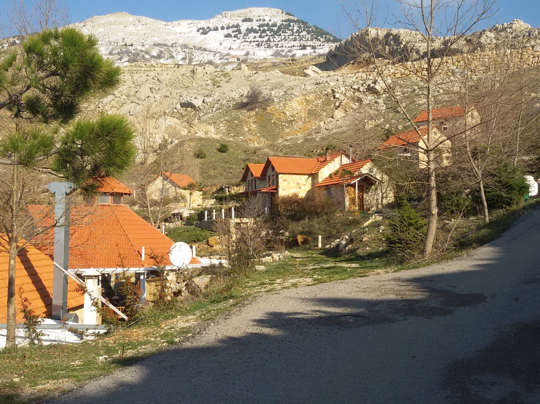 Soha Village Resort主图