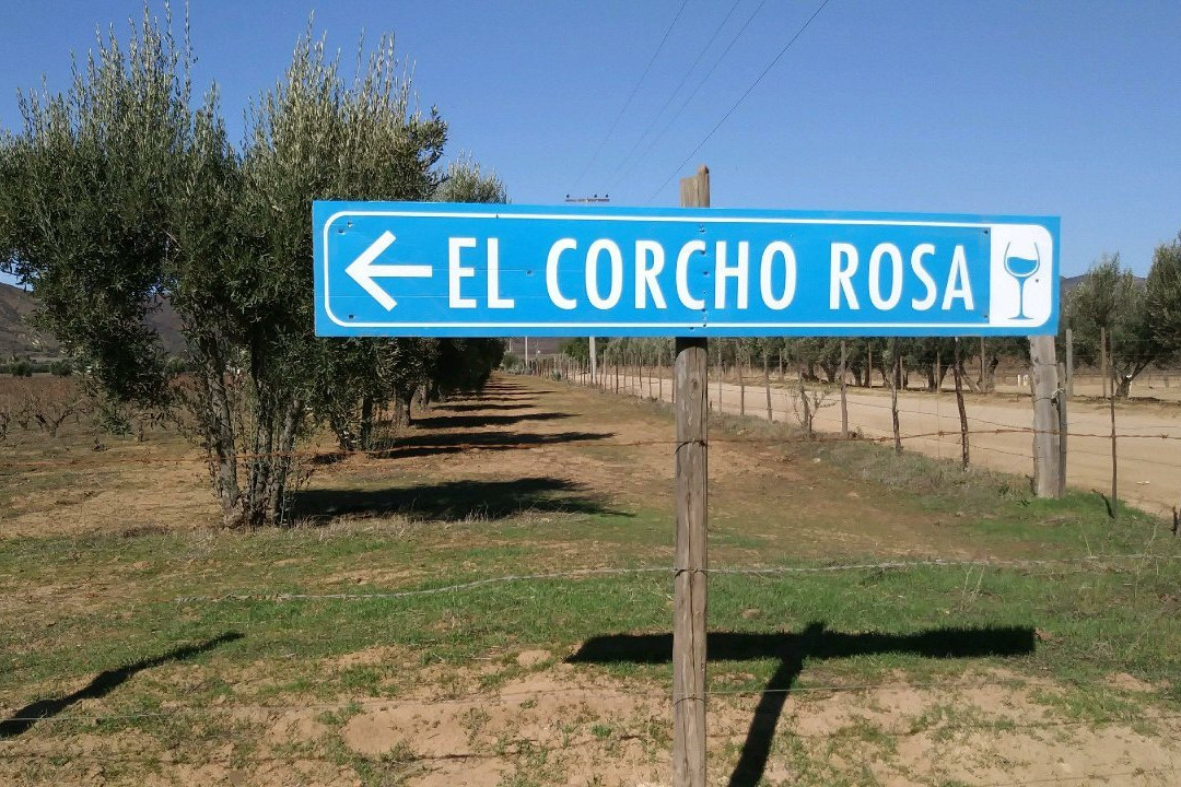 El Corcho Rosa Valle Girl Vino景点图片