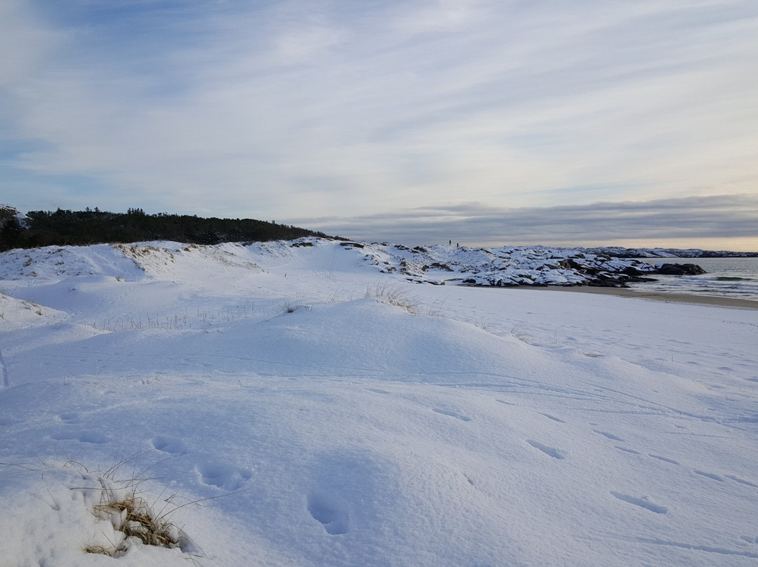 Brusand旅游攻略图片