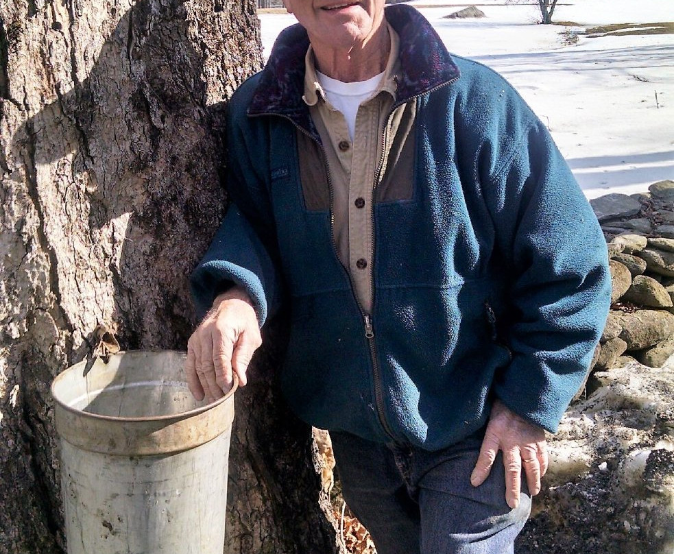 Shearer Hill Farm B&B主图