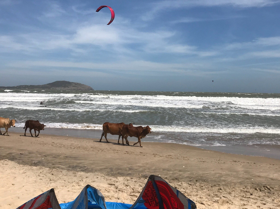 KITENAM - Vietnam Kite | Surf Club景点图片