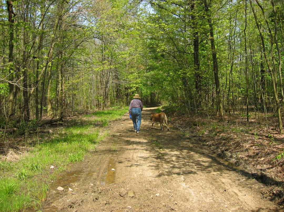 Reutter's Roost B & B主图