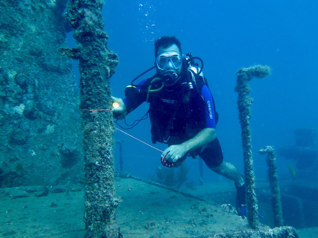 Dolphin Excursions Djibouti-吉布地必去景点