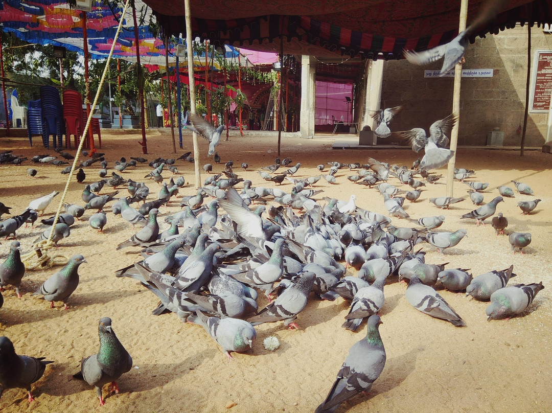 Padi Sivan Temple-金奈（马德拉斯）必去景点