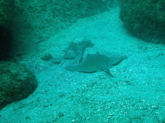 Laje de Santos-Sao Vicente必去景点