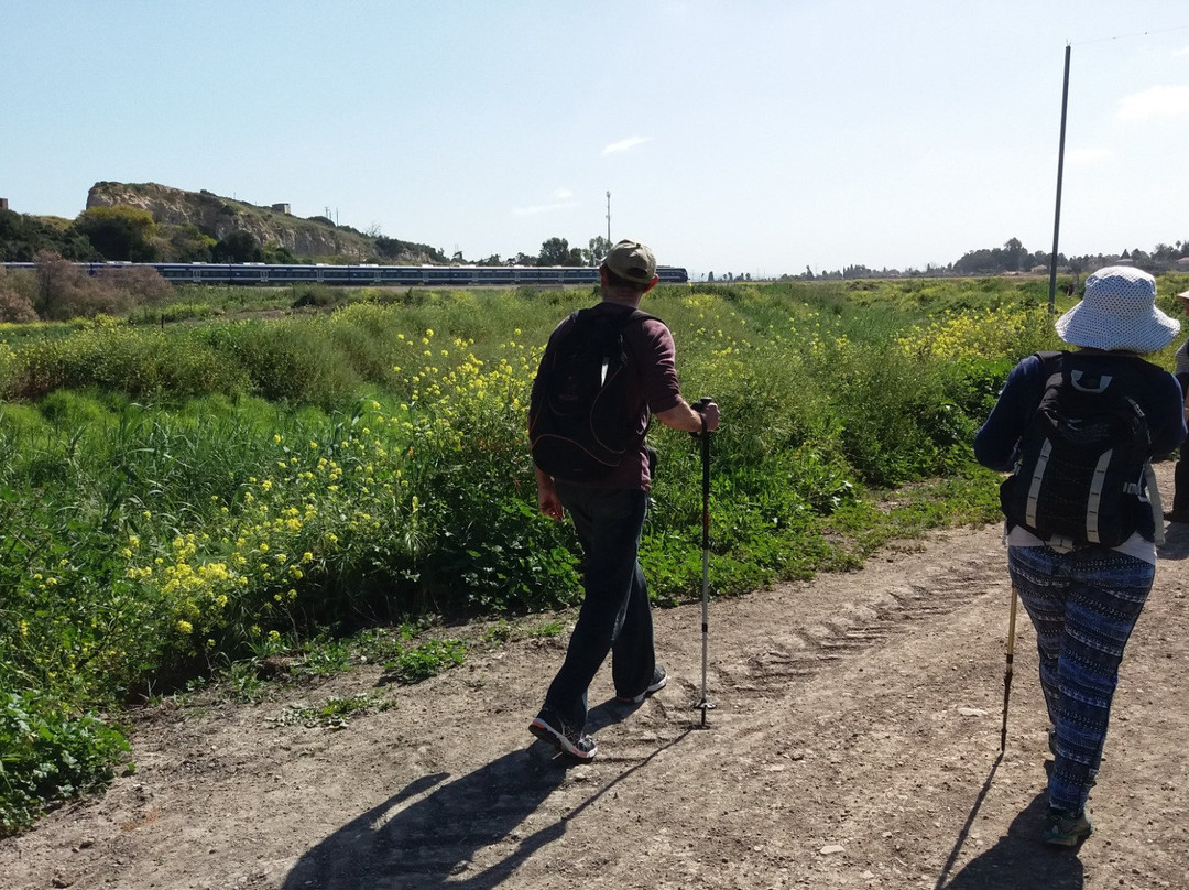 Hotem Hacarmel Nature Reserve景点图片